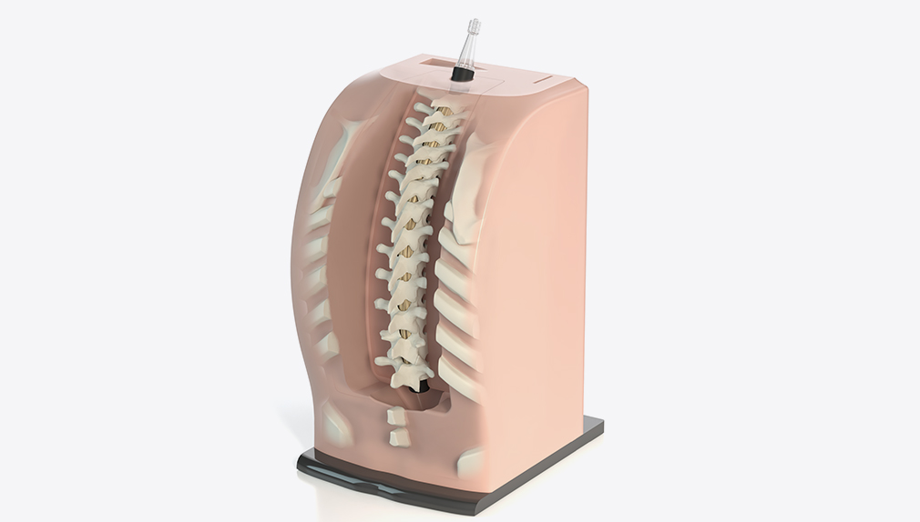 Thoraxis__Base_Cutaway