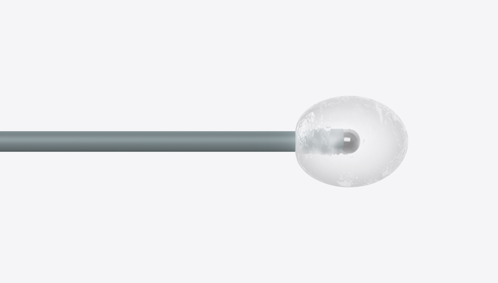 Hemi_Probe_v010_Ice_Ball_Needle_Probe-Needle_CC